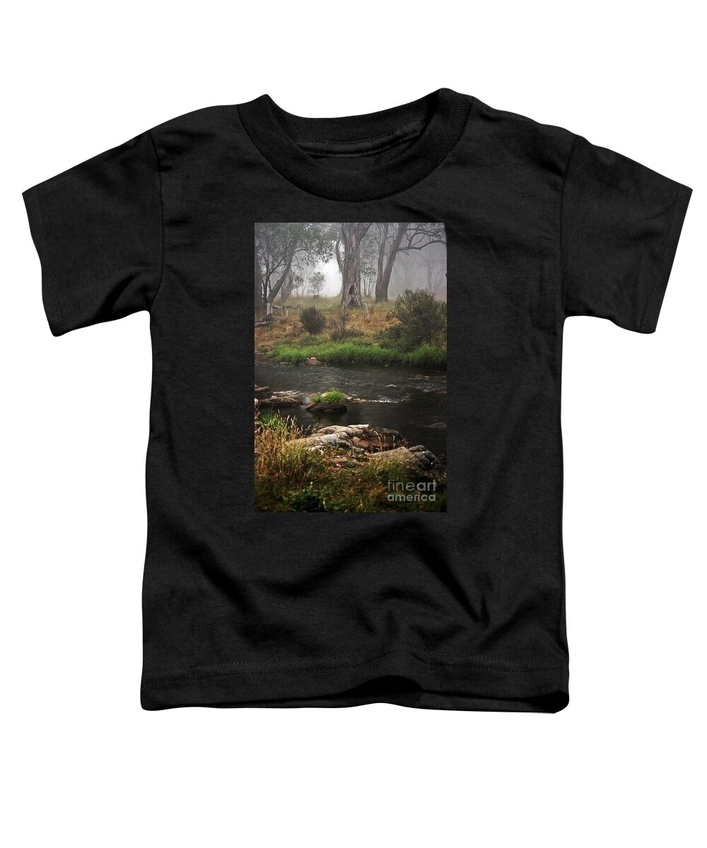 Blair Stuart Toddler T-Shirt featuring the photograph A Mystical Place by Blair Stuart