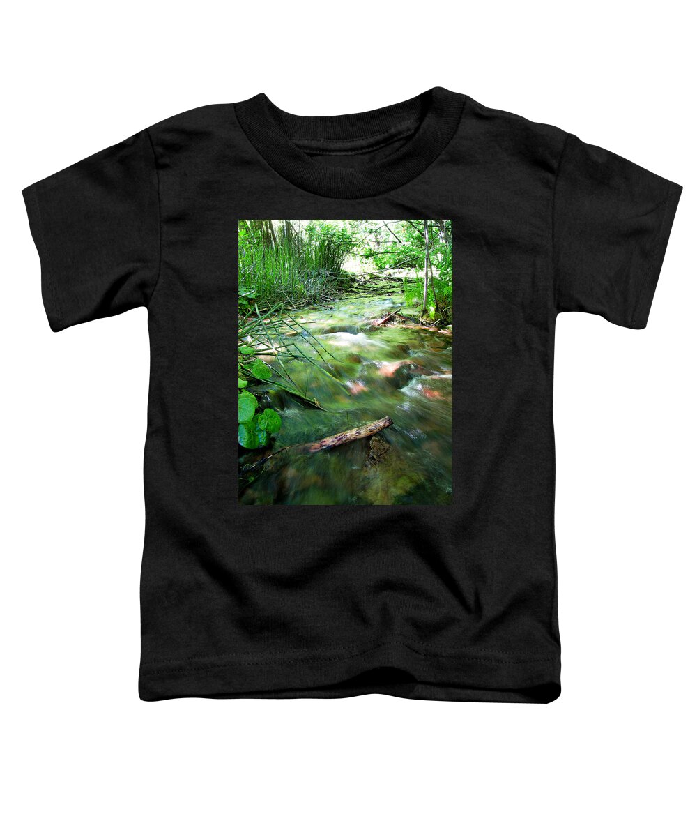 Flowing River Toddler T-Shirt featuring the photograph A River Runs Through by Lisa Chorny