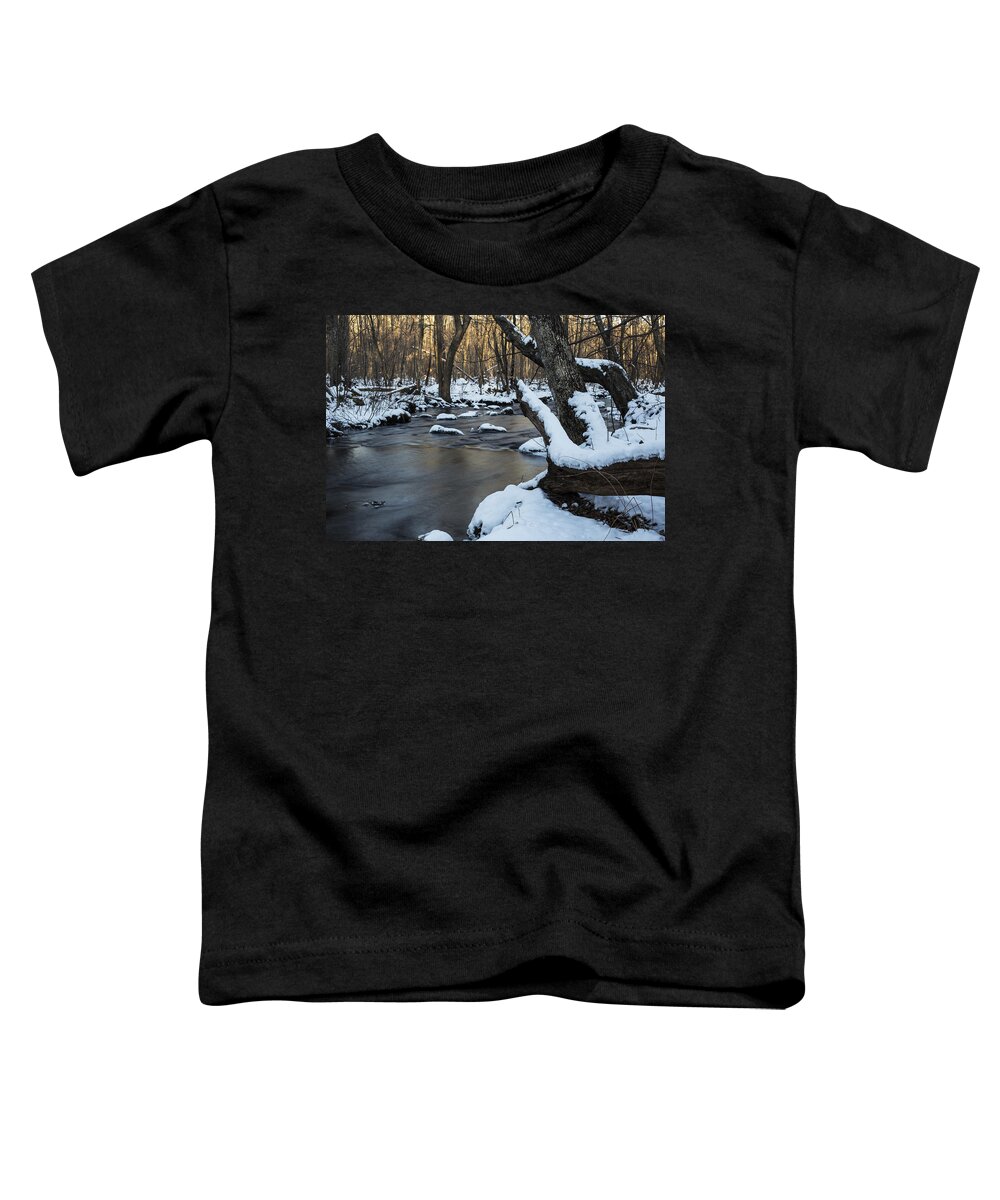 Andrew Pacheco Toddler T-Shirt featuring the photograph Adamsville Brook by Andrew Pacheco