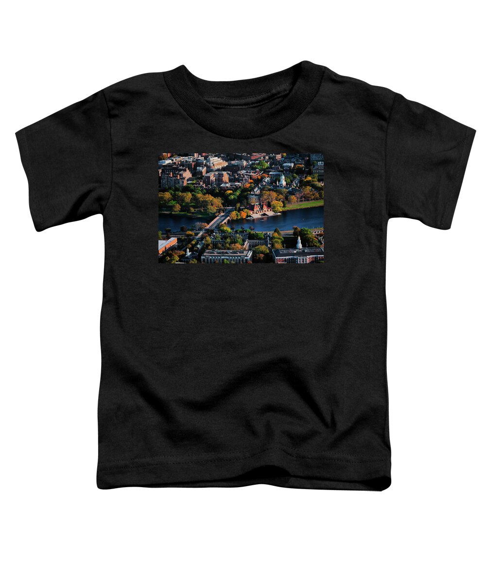 Photography Toddler T-Shirt featuring the photograph Aerial View Of Cambridge And Anderson by Panoramic Images