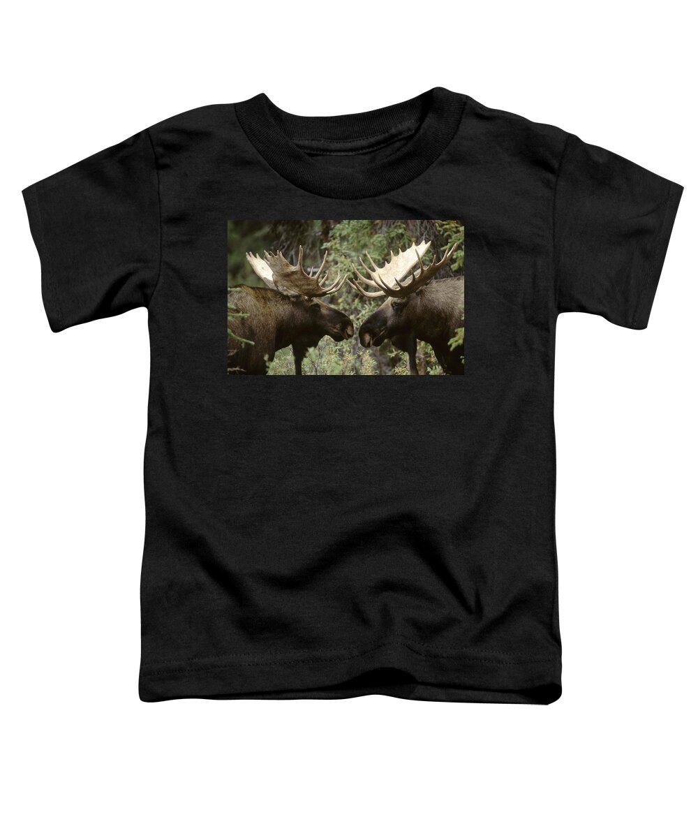 Feb0514 Toddler T-Shirt featuring the photograph Alaska Moose Bull Confrontation by Michael Quinton