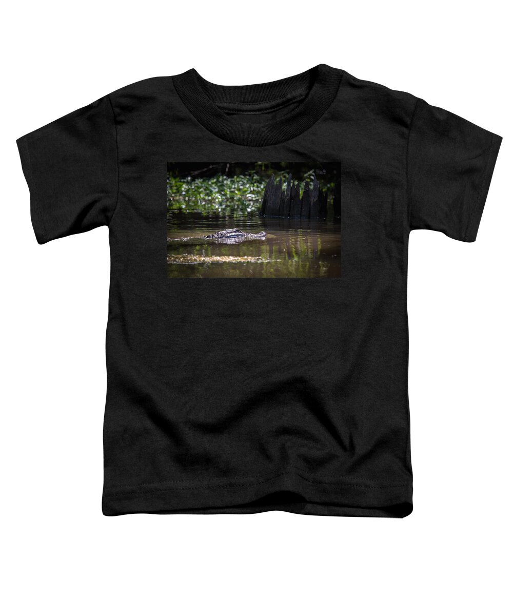Alligator Toddler T-Shirt featuring the photograph Alligator Swimming in Bayou 2 by Gregory Daley MPSA