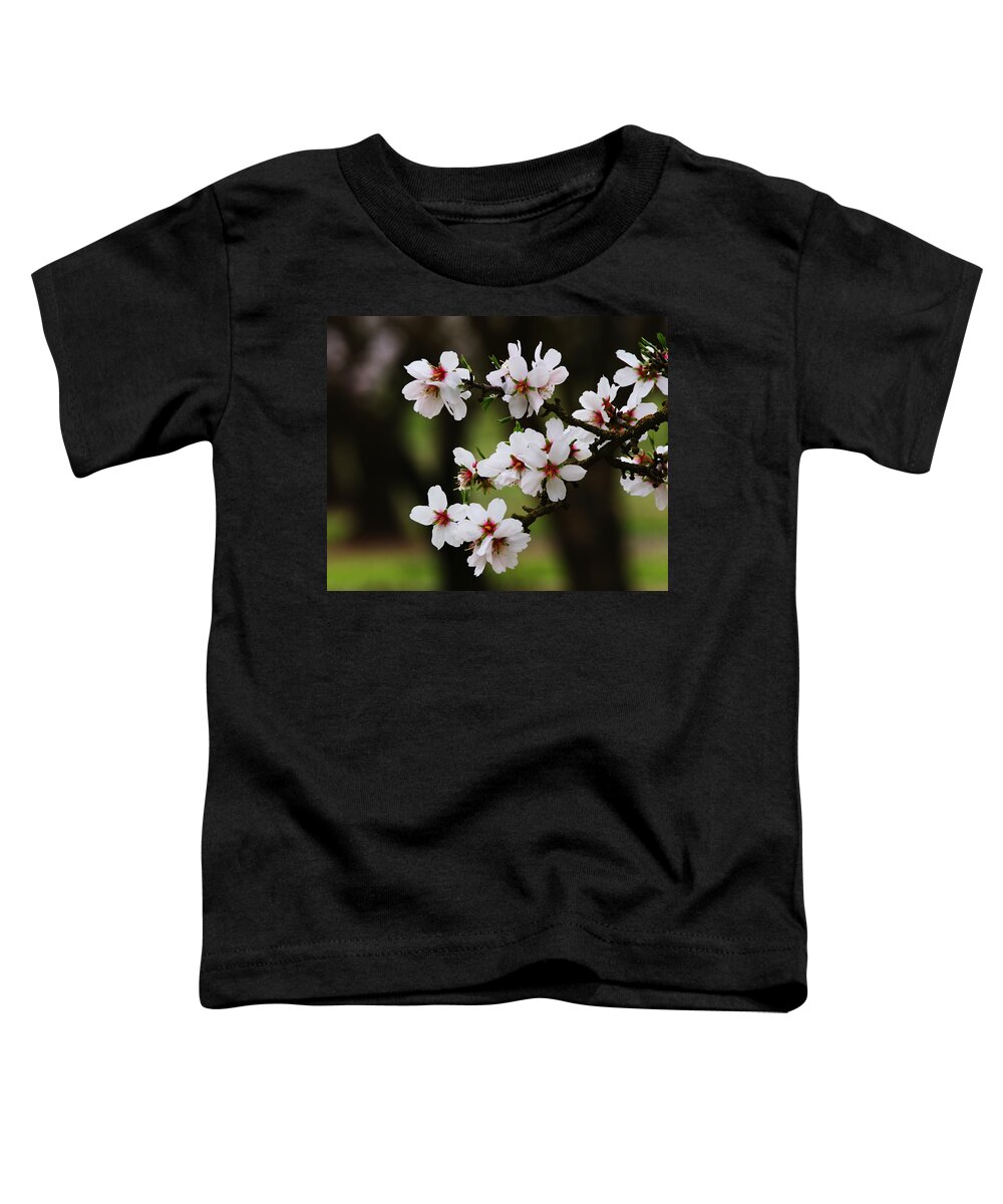 Almond Toddler T-Shirt featuring the photograph Almond Blossoms by Robert Woodward