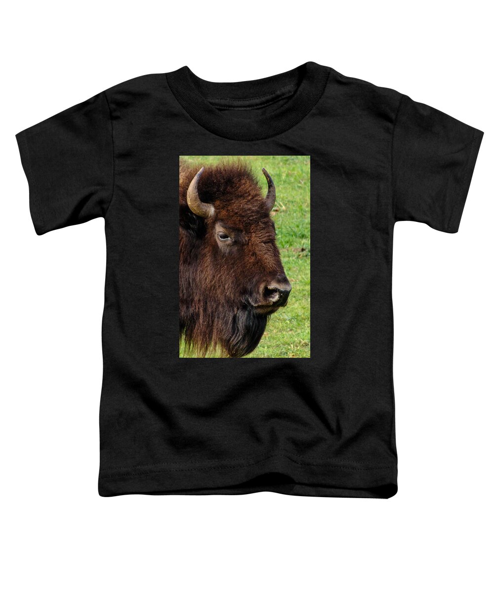 American Bison Toddler T-Shirt featuring the photograph American Bison by Al Griffin