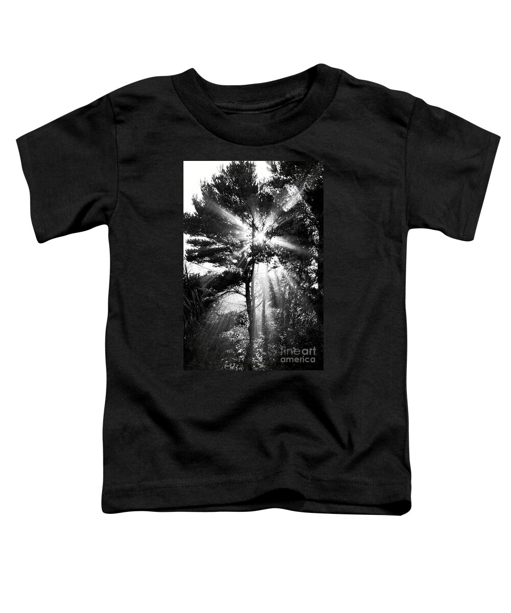 Sun Toddler T-Shirt featuring the photograph Angel Sun by Loni Collins