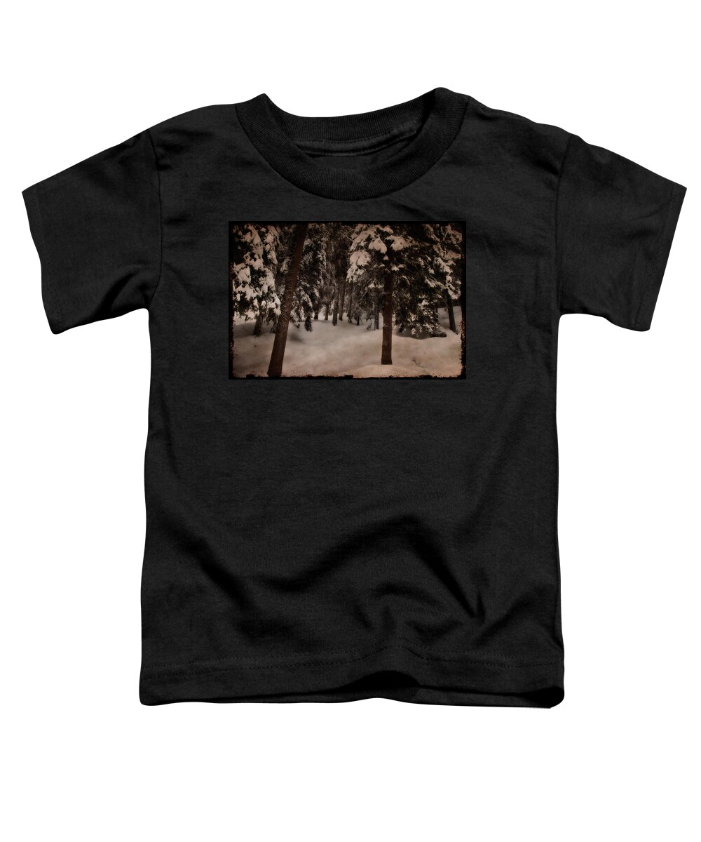 Environment Toddler T-Shirt featuring the photograph Antique woodscape by Roberto Pagani