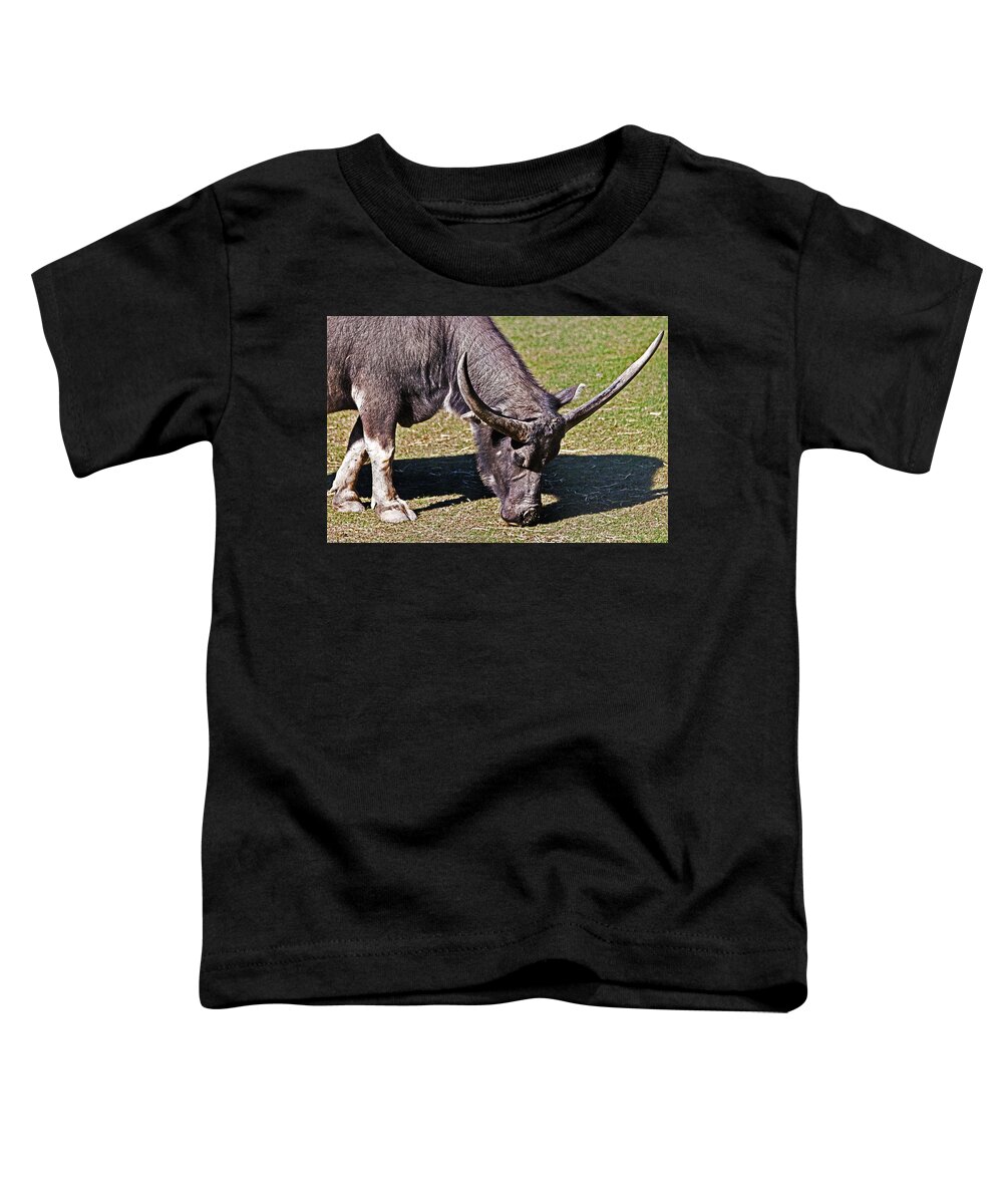 #water Buffalo Toddler T-Shirt featuring the photograph Asian Water Buffalo by Miroslava Jurcik