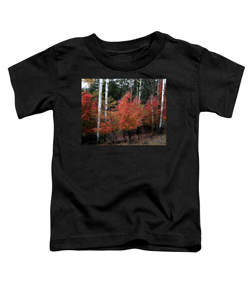 Landscape Toddler T-Shirt featuring the photograph Aspen Glory by Matalyn Gardner