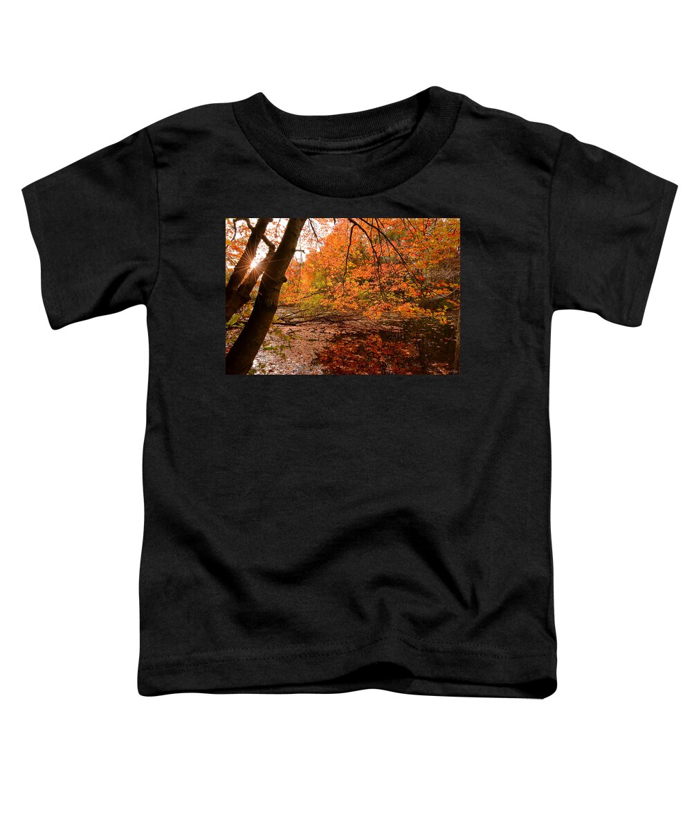 Rhode Island Toddler T-Shirt featuring the photograph At Its Best by Lourry Legarde