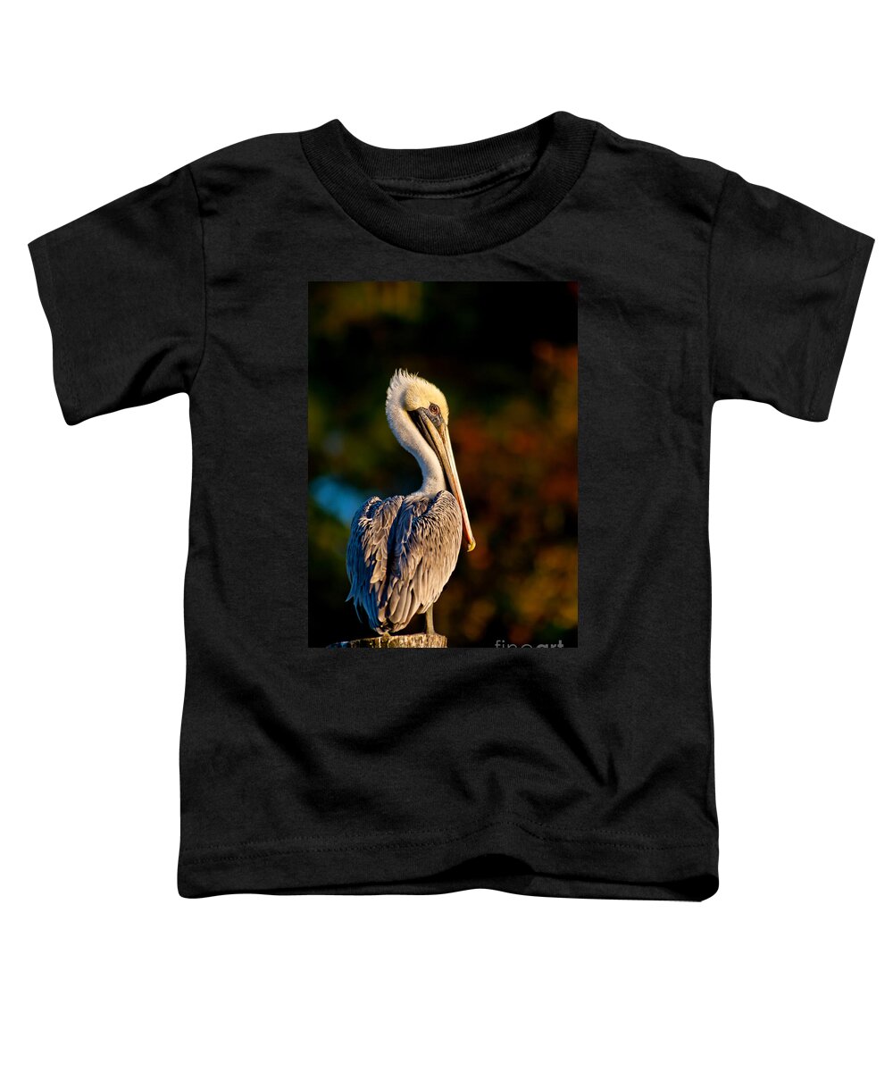 Brown Pelican Toddler T-Shirt featuring the photograph Autumn Brown Pelican by Joan McCool