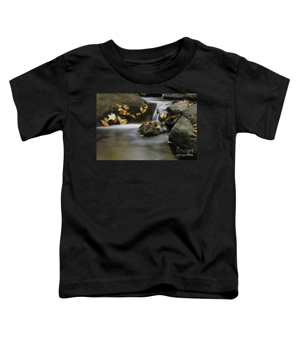 Hackelbarney State Park Toddler T-Shirt featuring the photograph Autumn in Hackelbarney II by Debra Fedchin