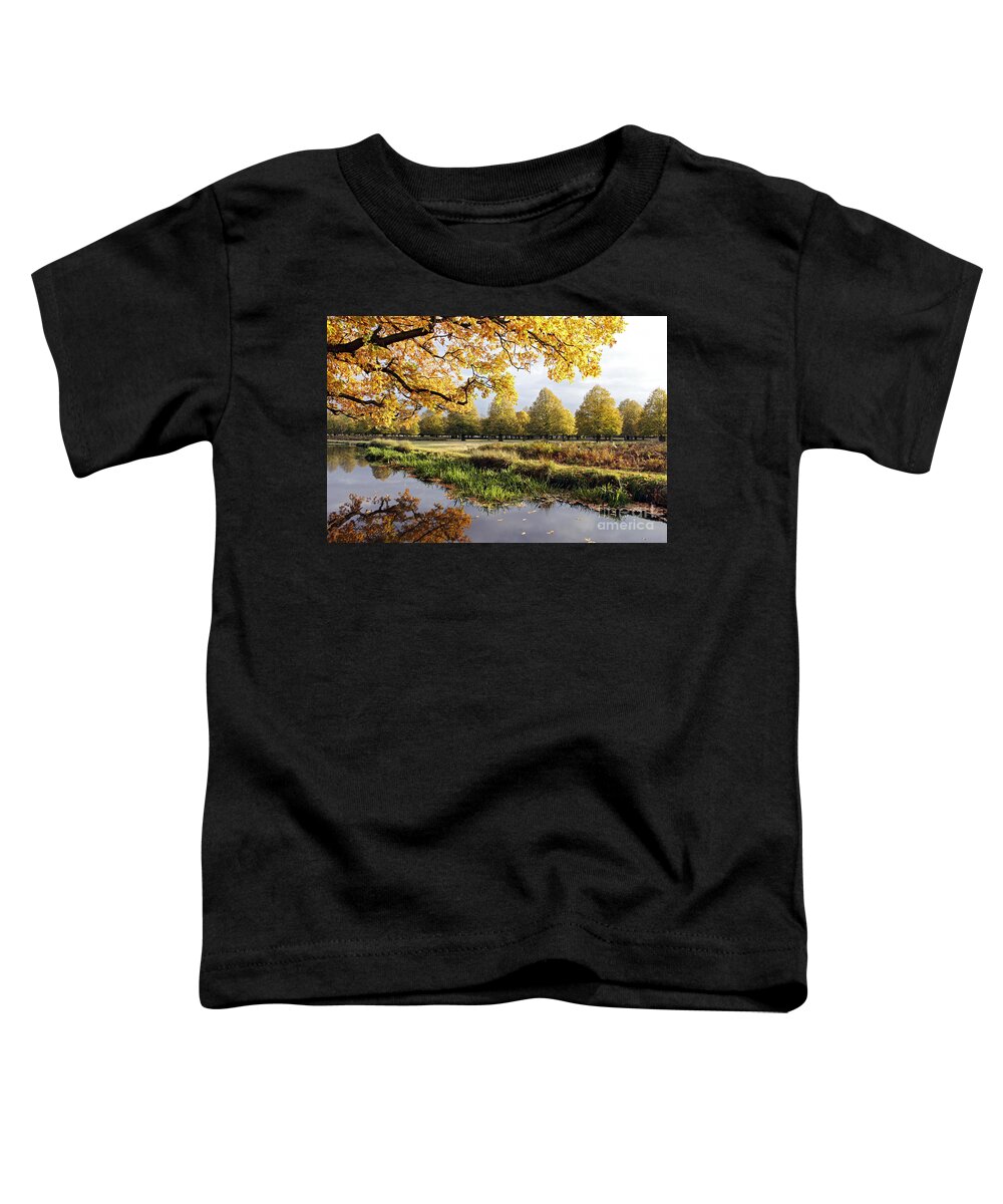 Autumn Trees Fall Autumnal Park Landscape Countryside English British Oak Golden River England Toddler T-Shirt featuring the photograph Autumn Trees by Julia Gavin
