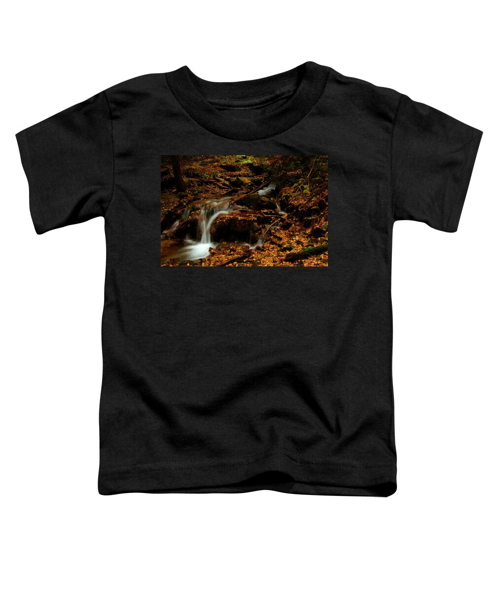 Colorado Toddler T-Shirt featuring the photograph Autumn Washed Away by Jeremy Rhoades