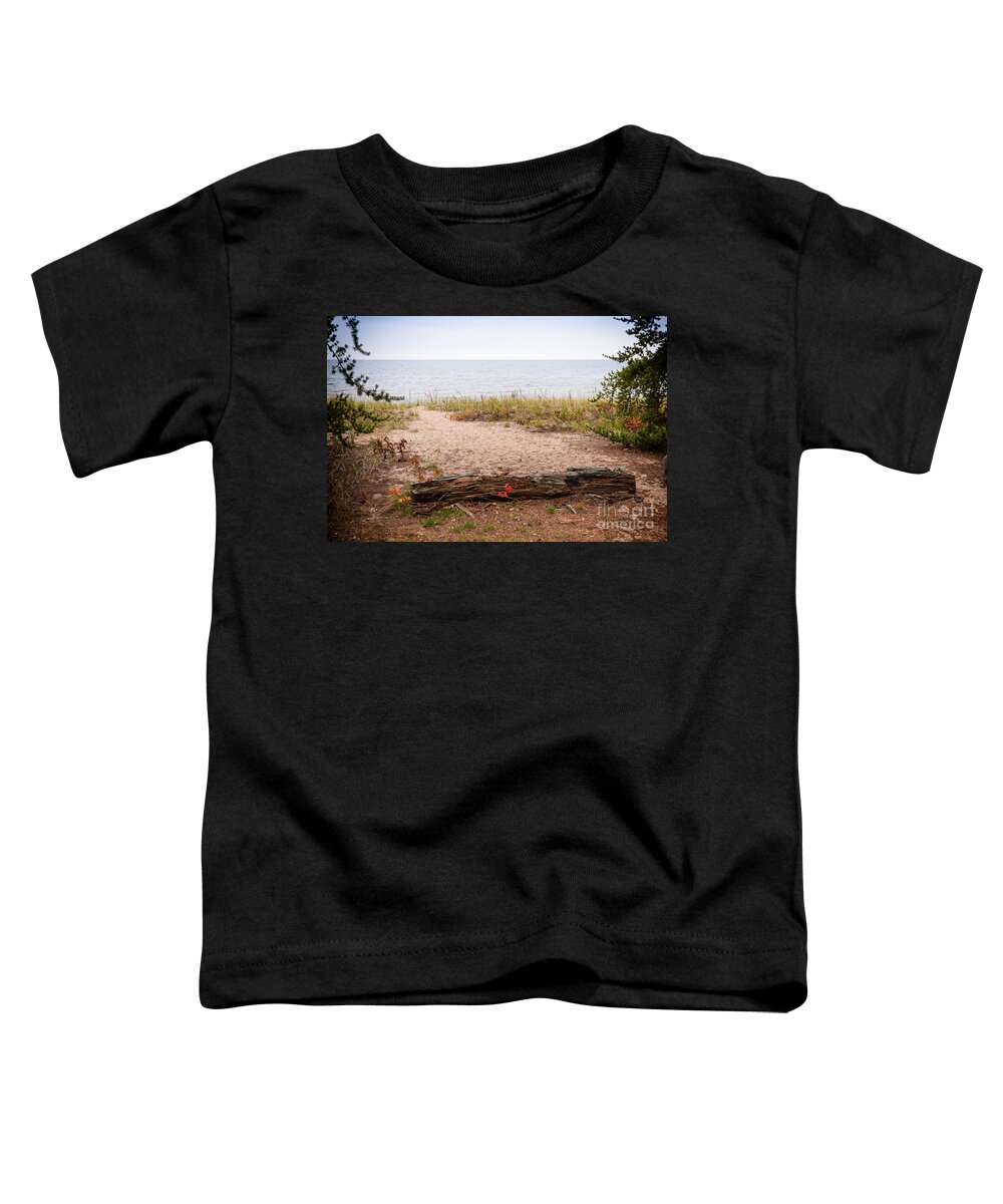 North Toddler T-Shirt featuring the Beach Path by Les Palenik