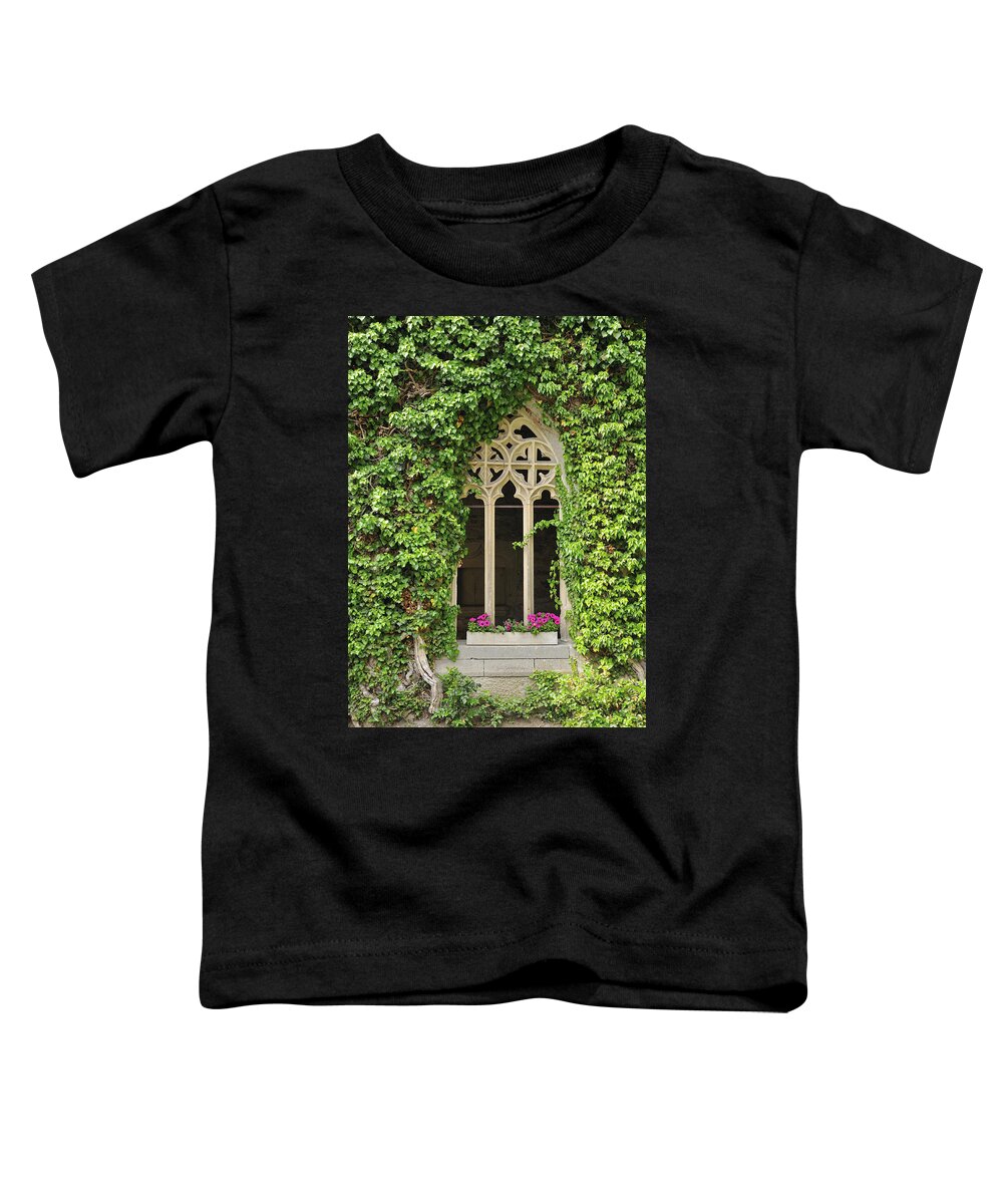 Window Toddler T-Shirt featuring the photograph Beautiful old window by Matthias Hauser