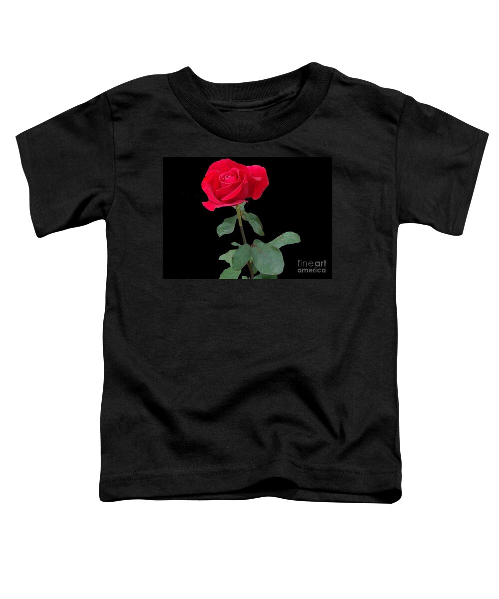 Rose Toddler T-Shirt featuring the photograph Beautiful Red Rose by Janette Boyd