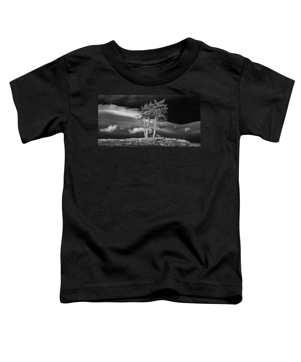 Art Toddler T-Shirt featuring the photograph Black and White Photograph Trees on a rocky ridge at Glacier National Park by Randall Nyhof