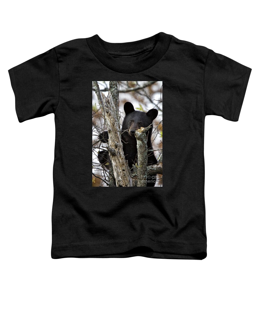 Black Bear Toddler T-Shirt featuring the photograph Black Bear Cub by Ronald Lutz