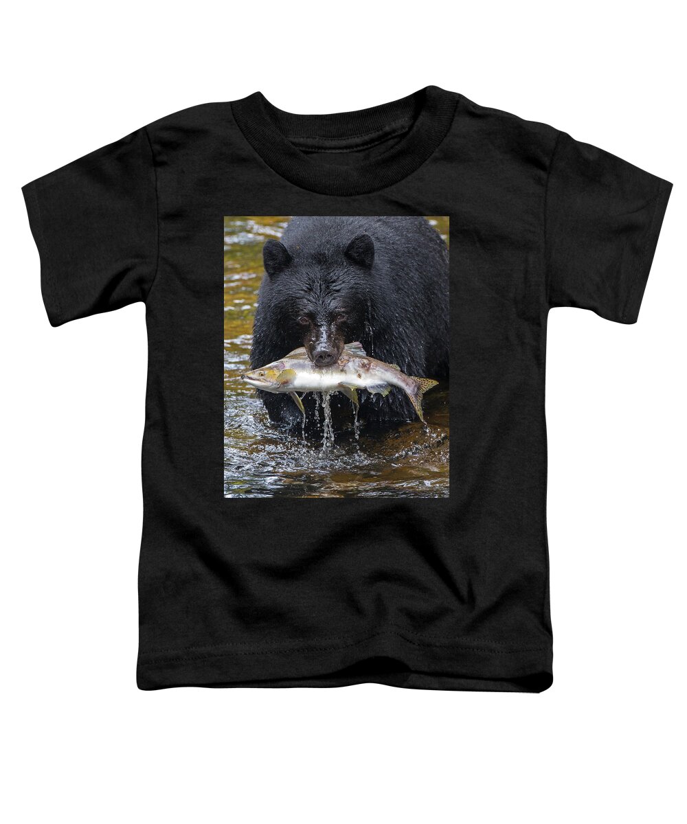 Black Bear Toddler T-Shirt featuring the photograph Black Bear with Salmon by Max Waugh