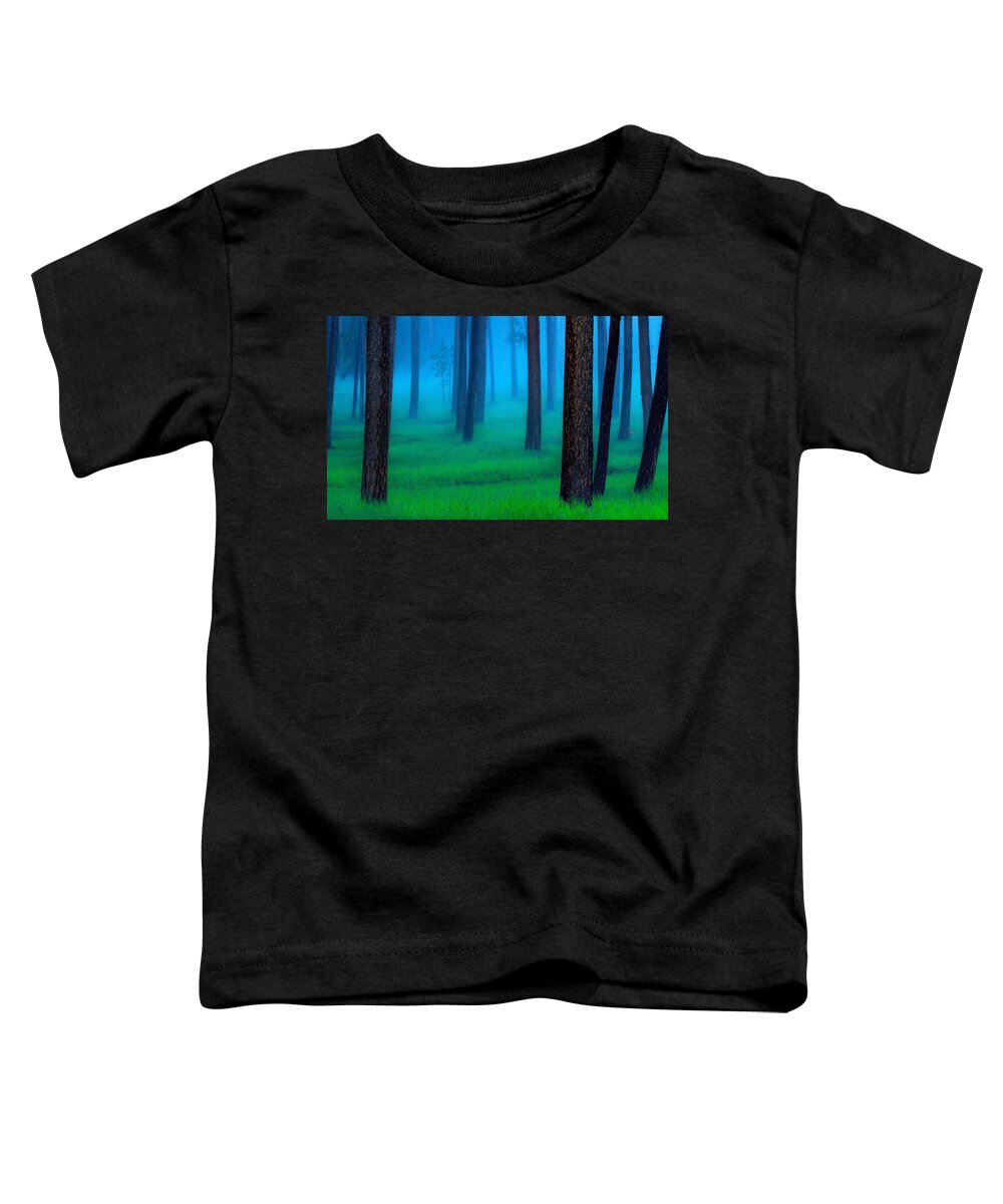 Outdoor Toddler T-Shirt featuring the photograph The Black Hills Forest by Kadek Susanto