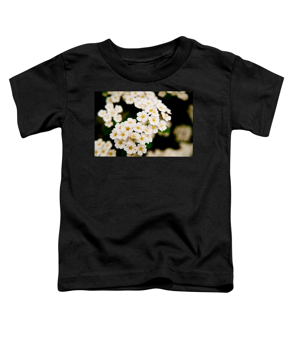 Bloom Toddler T-Shirt featuring the photograph Bridal Veil Spirea by Brenda Jacobs