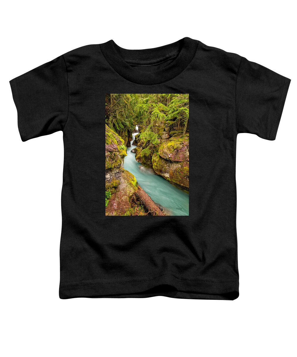 Water Toddler T-Shirt featuring the photograph Bridge View of Avalanche Gorge Waterfalls by Fred J Lord