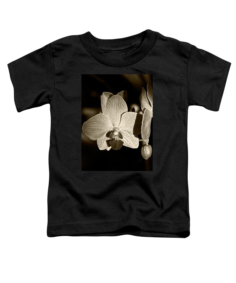 Orchid Toddler T-Shirt featuring the photograph Brown Lace by Melinda Ledsome