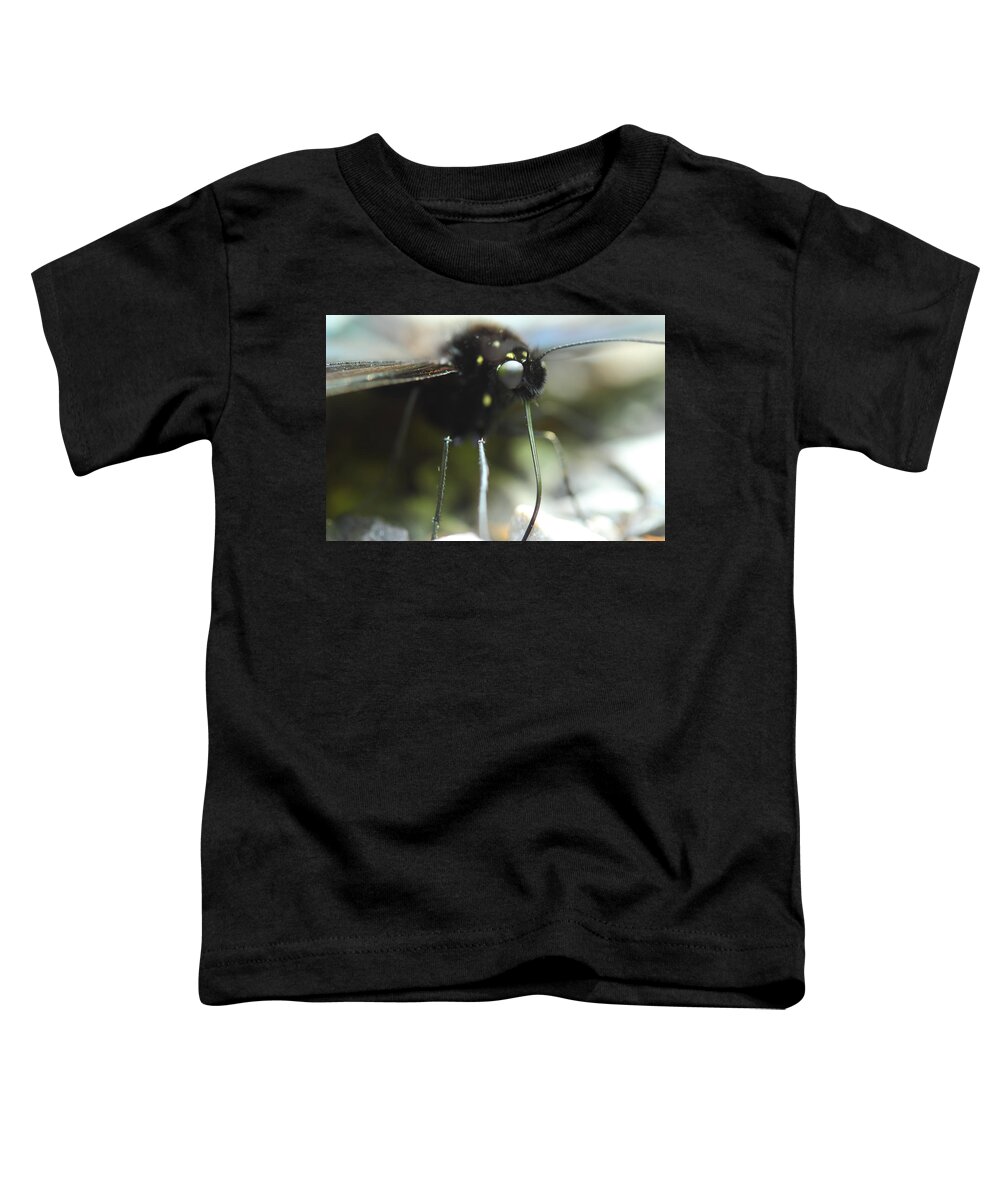 Butterfly Toddler T-Shirt featuring the photograph Busy Butterfly by Michael Eingle