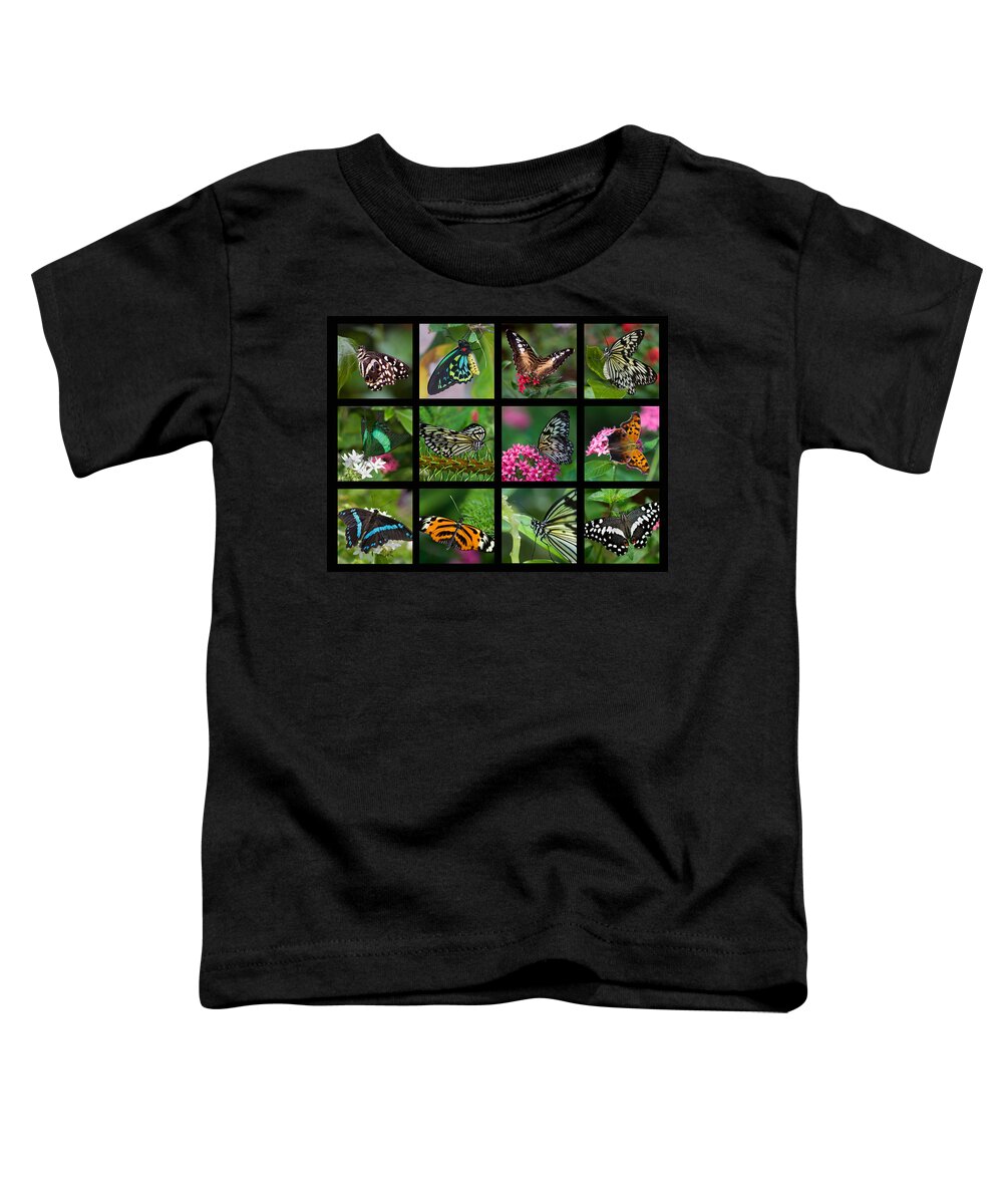 Butterfly Toddler T-Shirt featuring the photograph Butterfly Collage by Joann Vitali