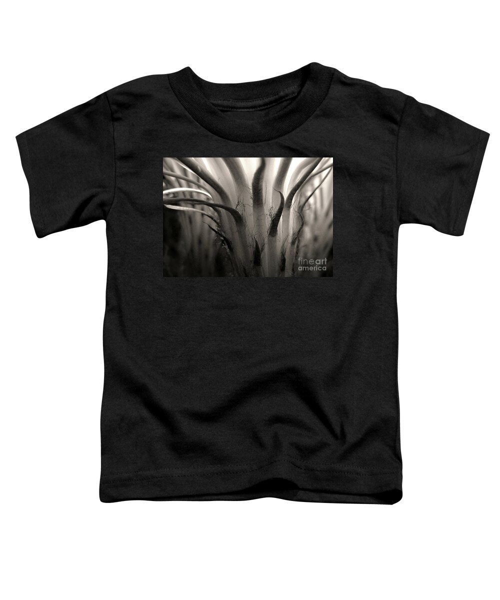 Cactus Toddler T-Shirt featuring the photograph Cactus Bloom in Sepia by Ellen Cotton