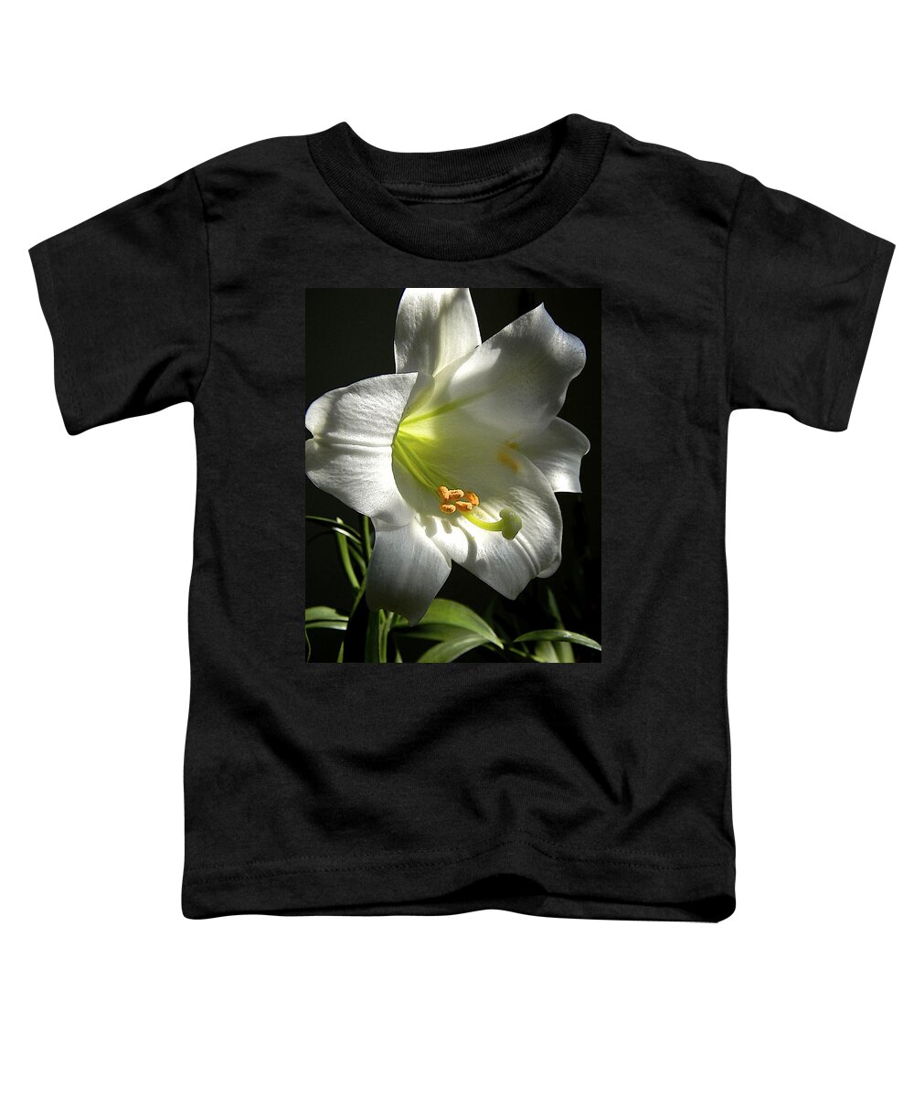 Easter Lily Toddler T-Shirt featuring the photograph Easter Lily Alone by Gary Olsen-Hasek