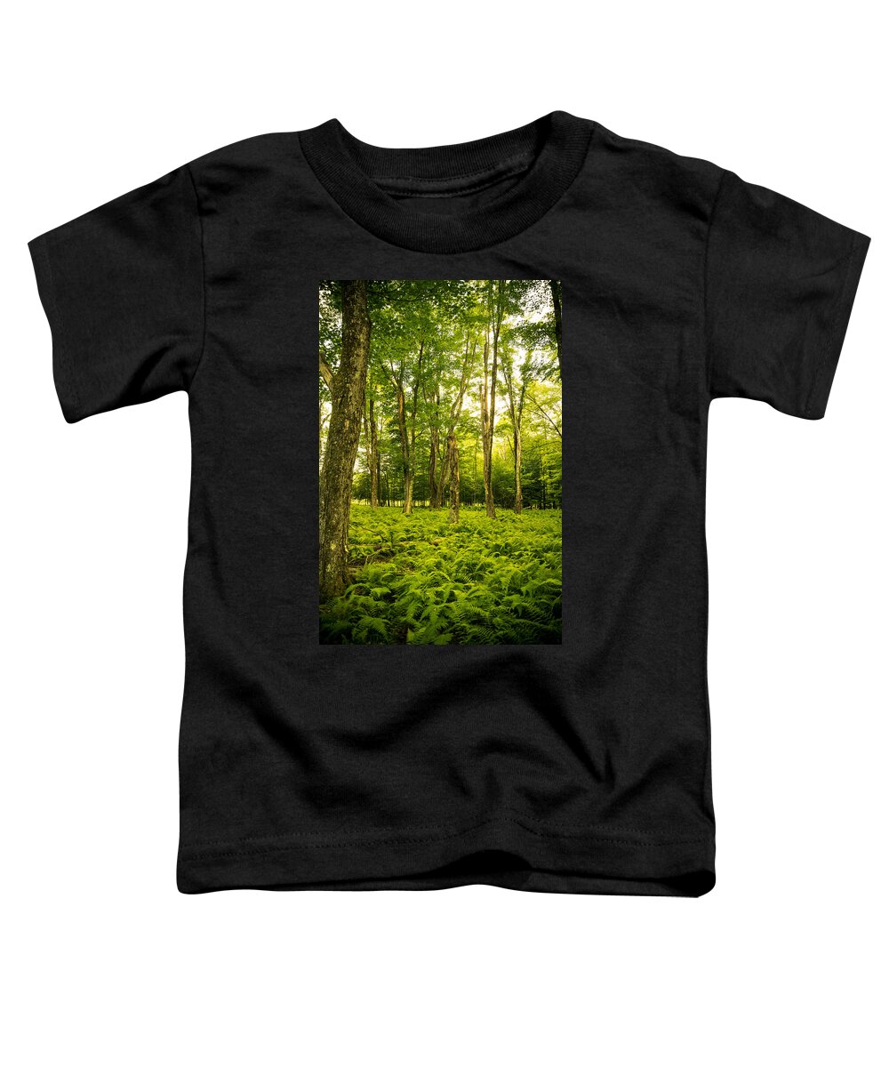 Canaan Valley Toddler T-Shirt featuring the photograph Canaan Path by Shane Holsclaw