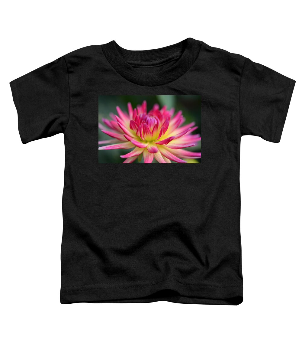 Dahlia Toddler T-Shirt featuring the photograph Carol's Dahlia by Kathy Paynter