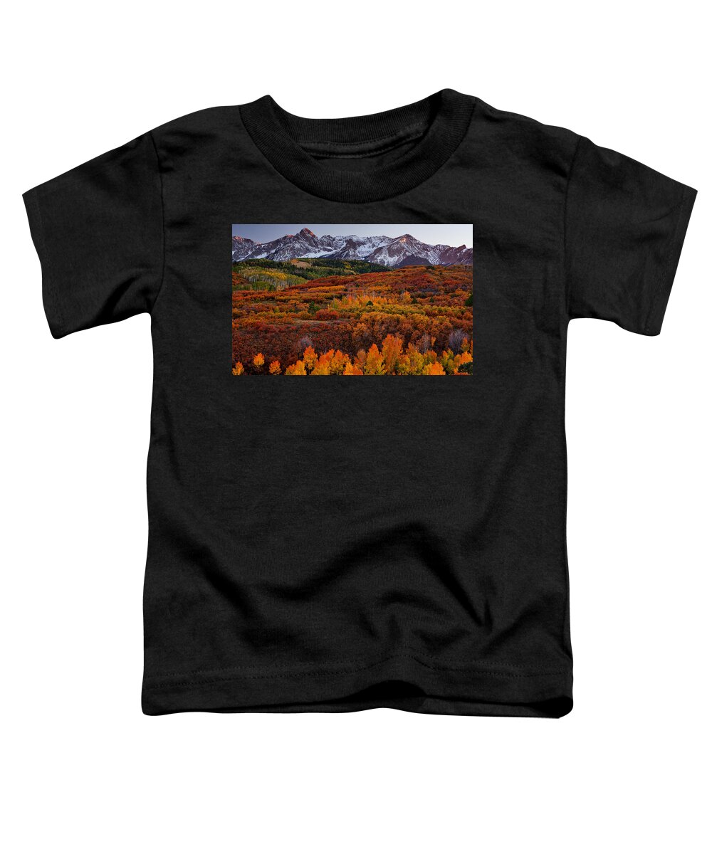 Colorado Toddler T-Shirt featuring the photograph Carpet of Color by Darren White