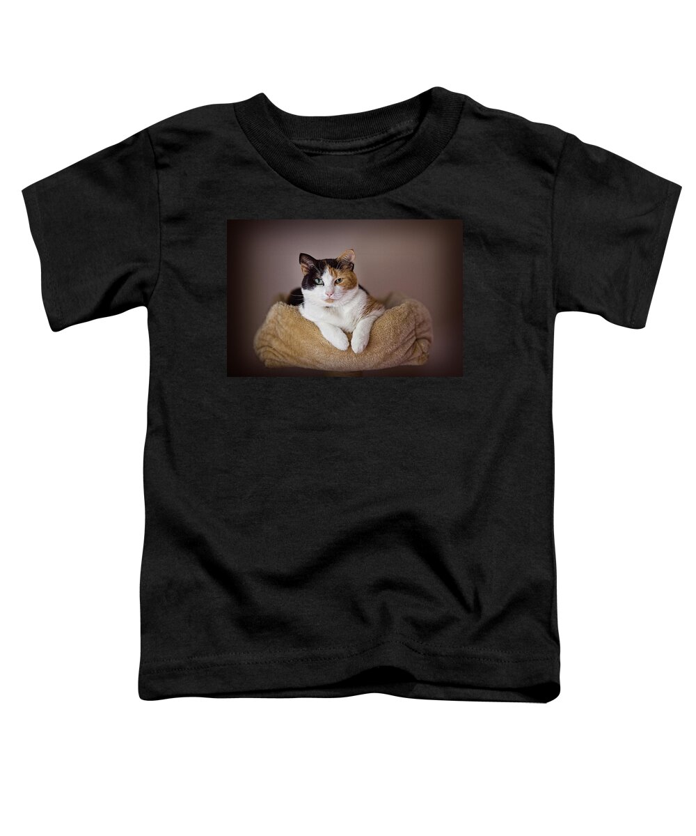 Cat Toddler T-Shirt featuring the photograph Cat Portrait by Ian Good