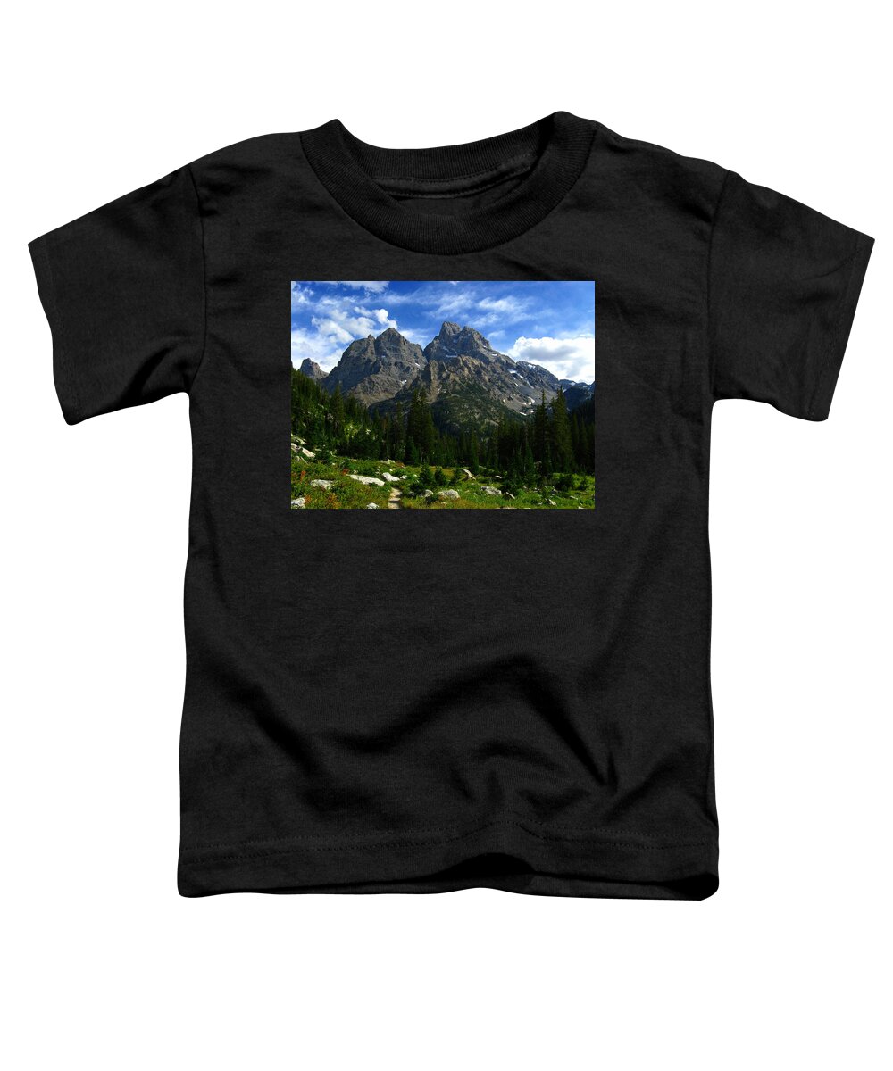 The Cathedral Group Toddler T-Shirt featuring the photograph Cathedral Group from the Northwest by Raymond Salani III