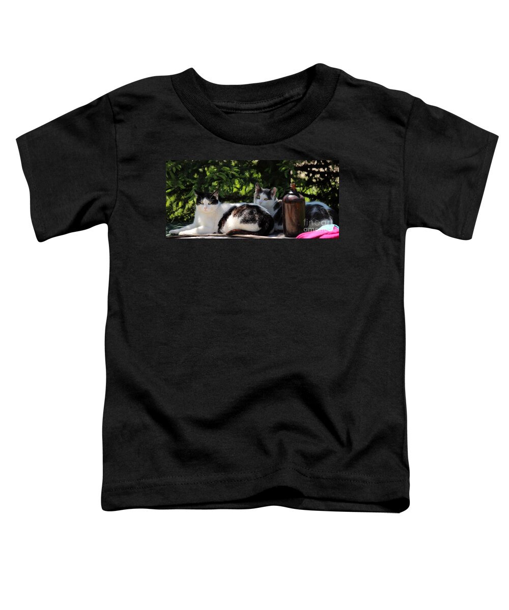 Cats Toddler T-Shirt featuring the photograph Chillin' Brothers by Janice Byer