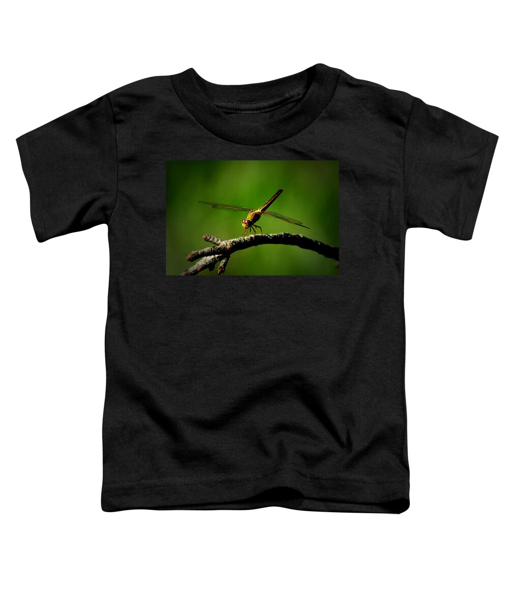 Dragonfly Toddler T-Shirt featuring the photograph Clear For Takeoff by David Weeks