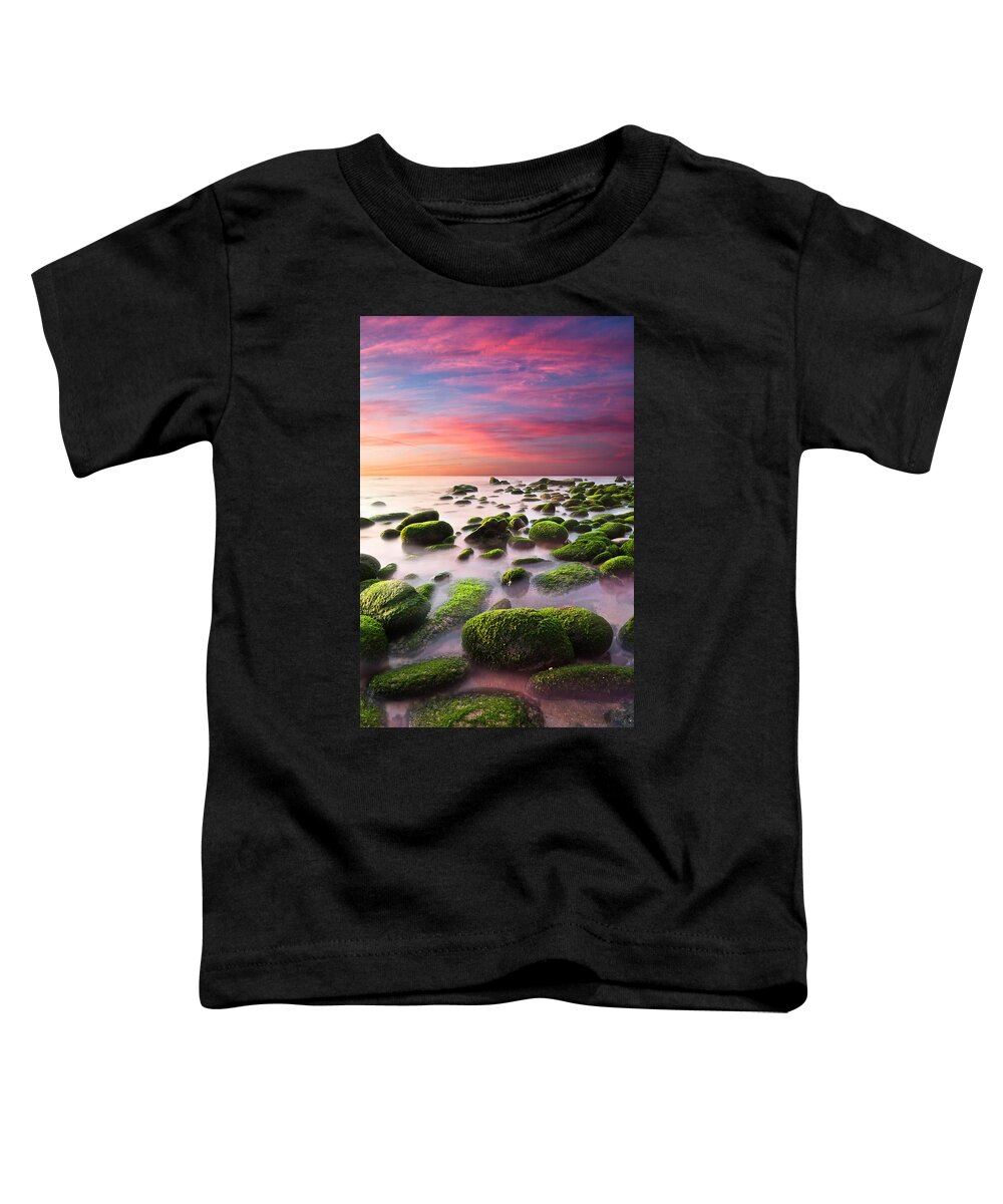 Beach Toddler T-Shirt featuring the photograph Color Harmony by Jorge Maia