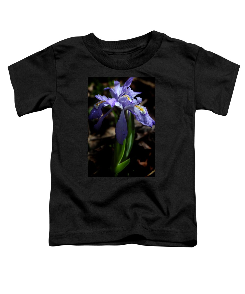 Crested Dwarf Iris Toddler T-Shirt featuring the photograph Crested Dwarf Iris by Michael Eingle
