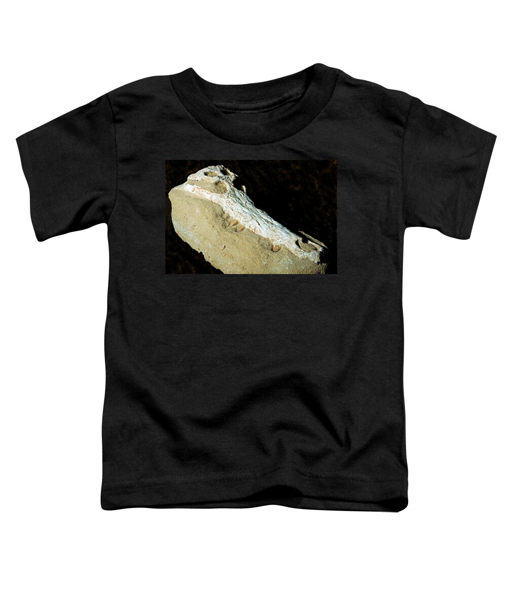Nature Toddler T-Shirt featuring the photograph Crocodile Skull Fossil by Millard H. Sharp