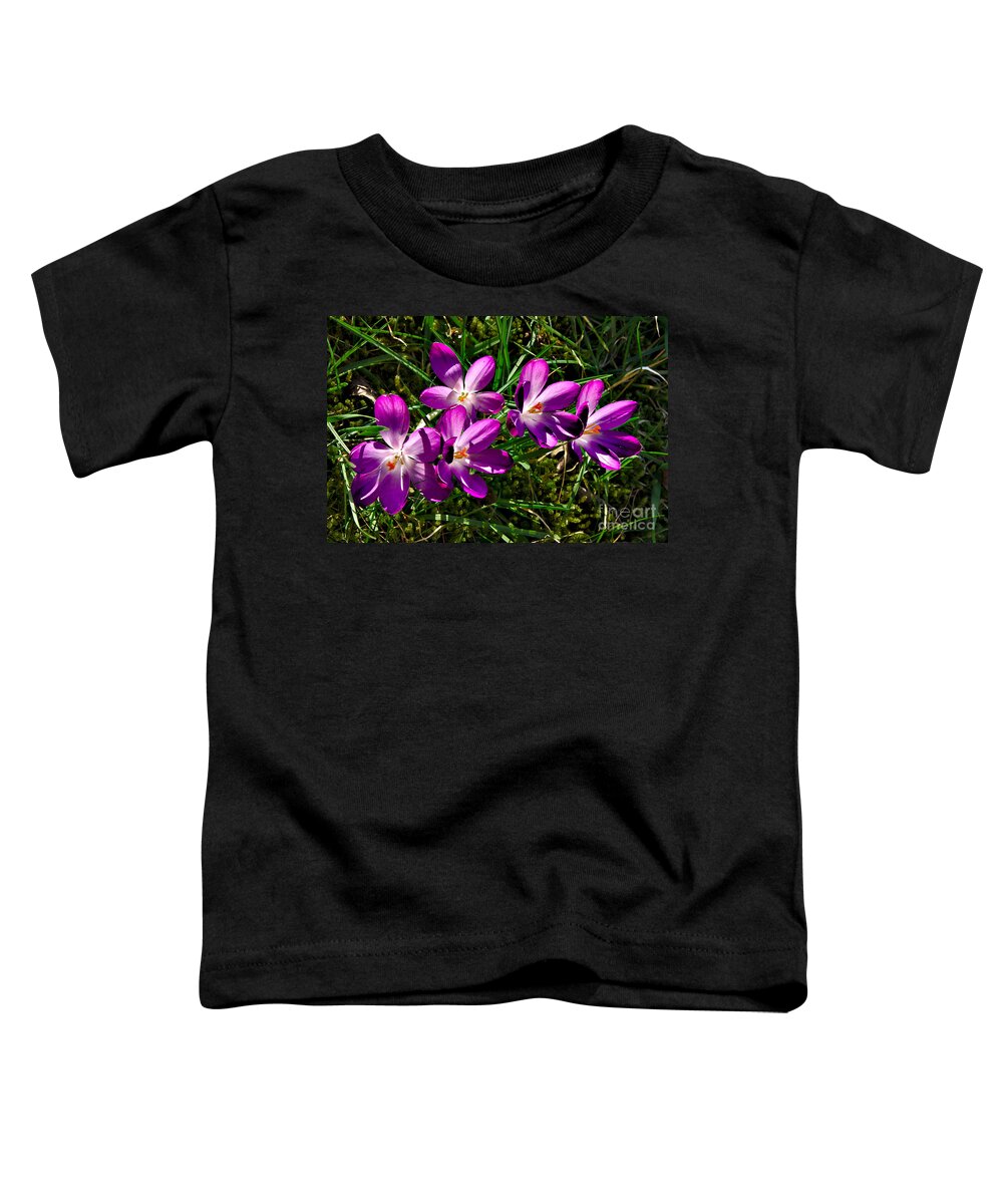 Spring Toddler T-Shirt featuring the photograph Crocus in the Grass by Jeremy Hayden