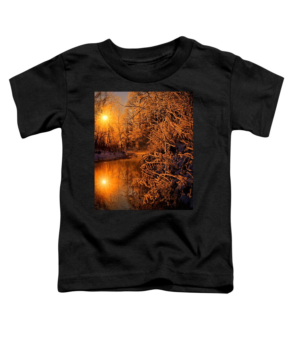 2010 Toddler T-Shirt featuring the photograph Crystal Stream by Robert Charity