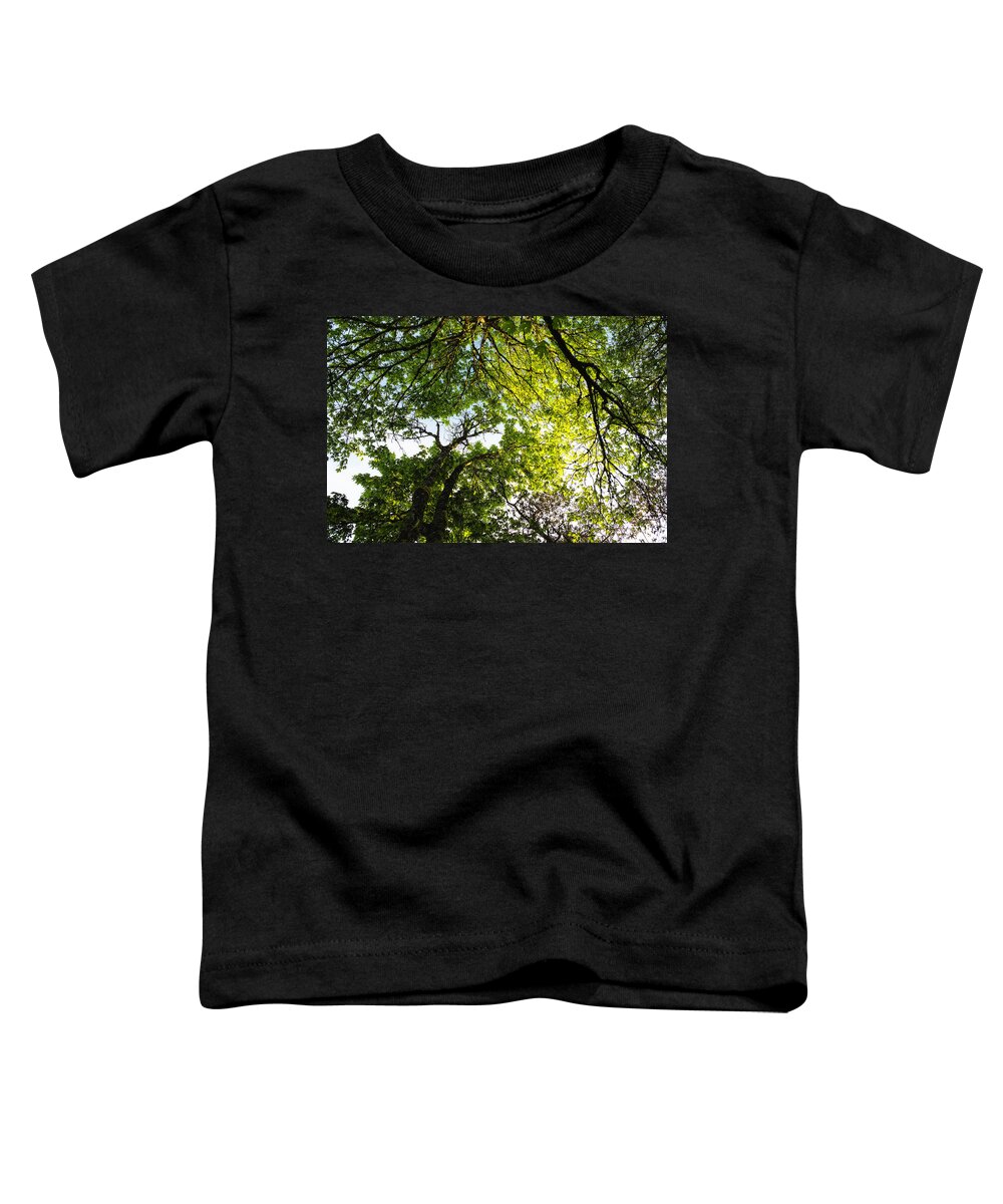 Trees Toddler T-Shirt featuring the photograph Daydreaming in the Hammock by Belinda Greb