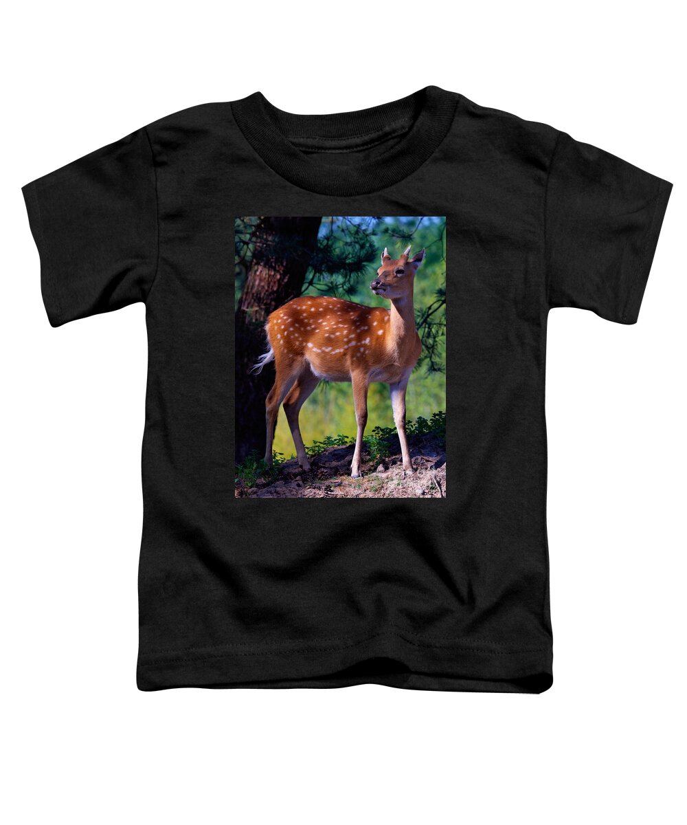 Deer Toddler T-Shirt featuring the photograph Deer in the woods by Nick Biemans