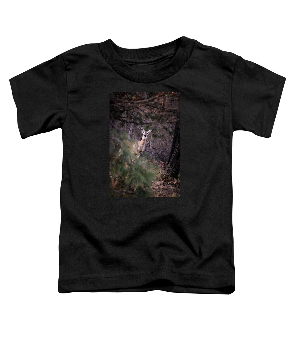 Deer Toddler T-Shirt featuring the photograph Deer's Stomping Grounds. by Joshua Martin