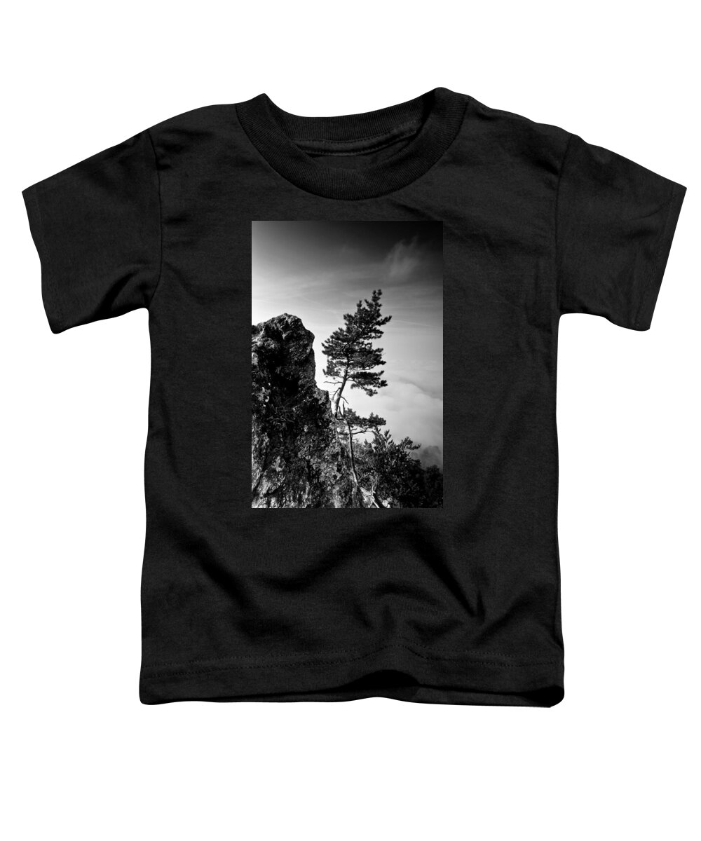 Landscape Toddler T-Shirt featuring the photograph Defiant by Davorin Mance