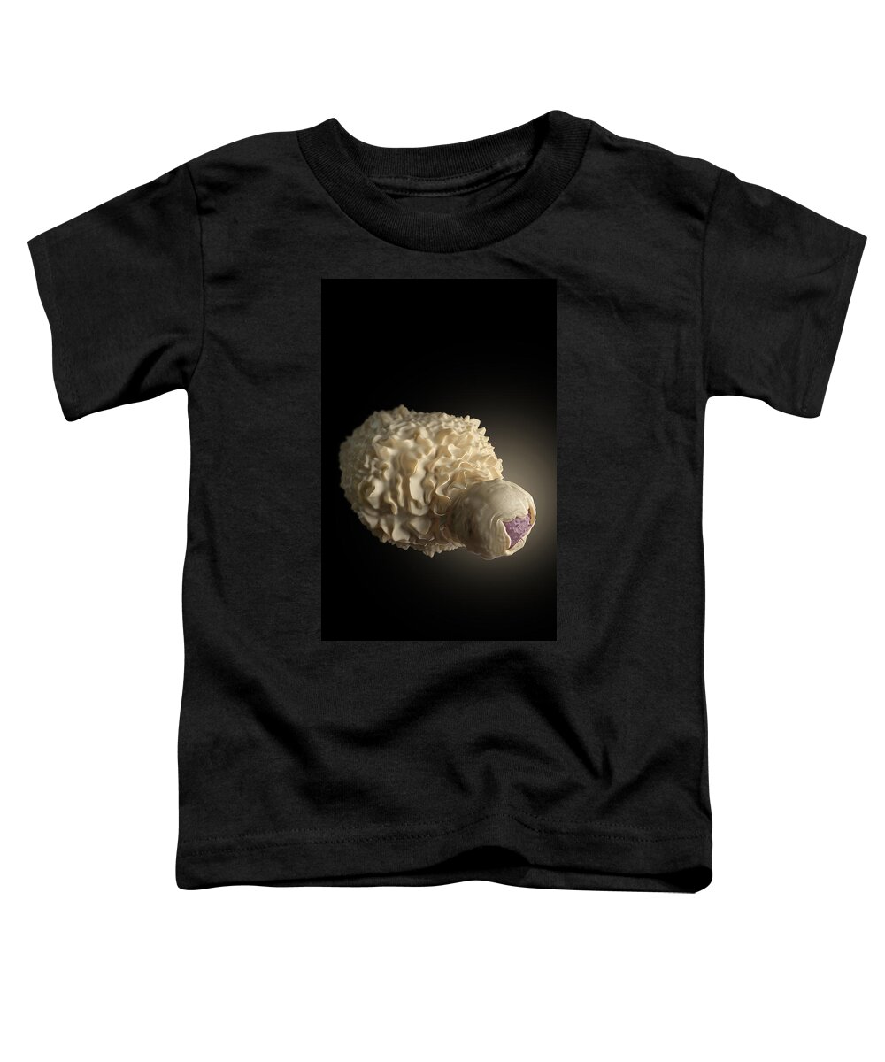 Science Toddler T-Shirt featuring the photograph Dendritic Cell Engulfing Hiv-infected T by Science Source