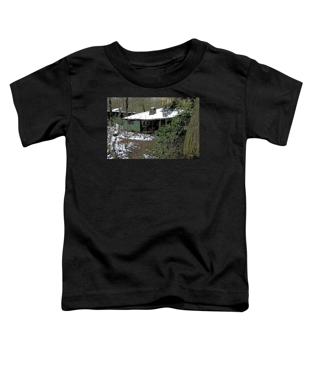 Deserted Cabin Elkmont Toddler T-Shirt featuring the painting Deserted Cabin Elkmont - Rhododendrum and Ruins by Rebecca Korpita