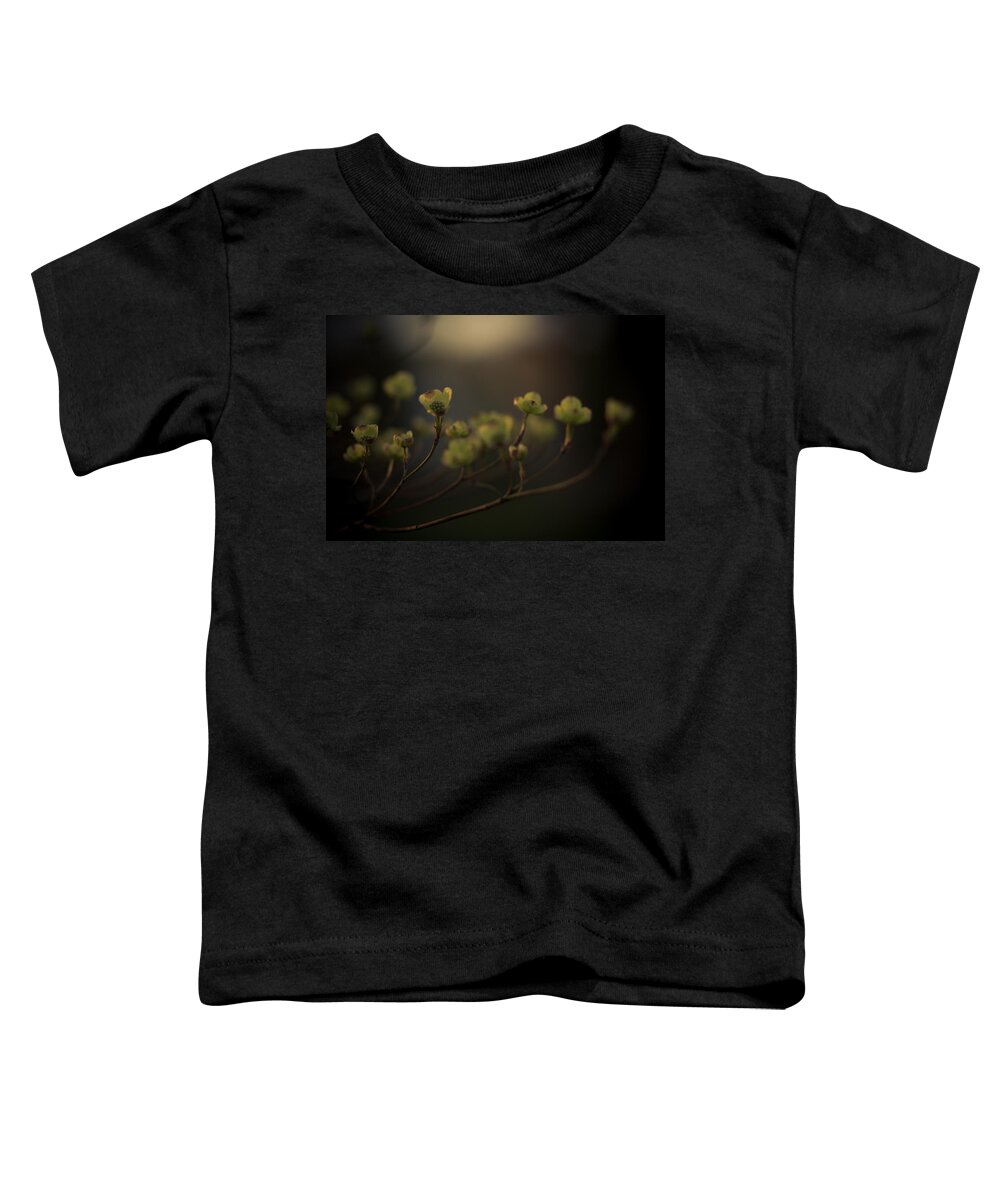 Dogwood Toddler T-Shirt featuring the photograph Dogwood at Dusk by Shane Holsclaw